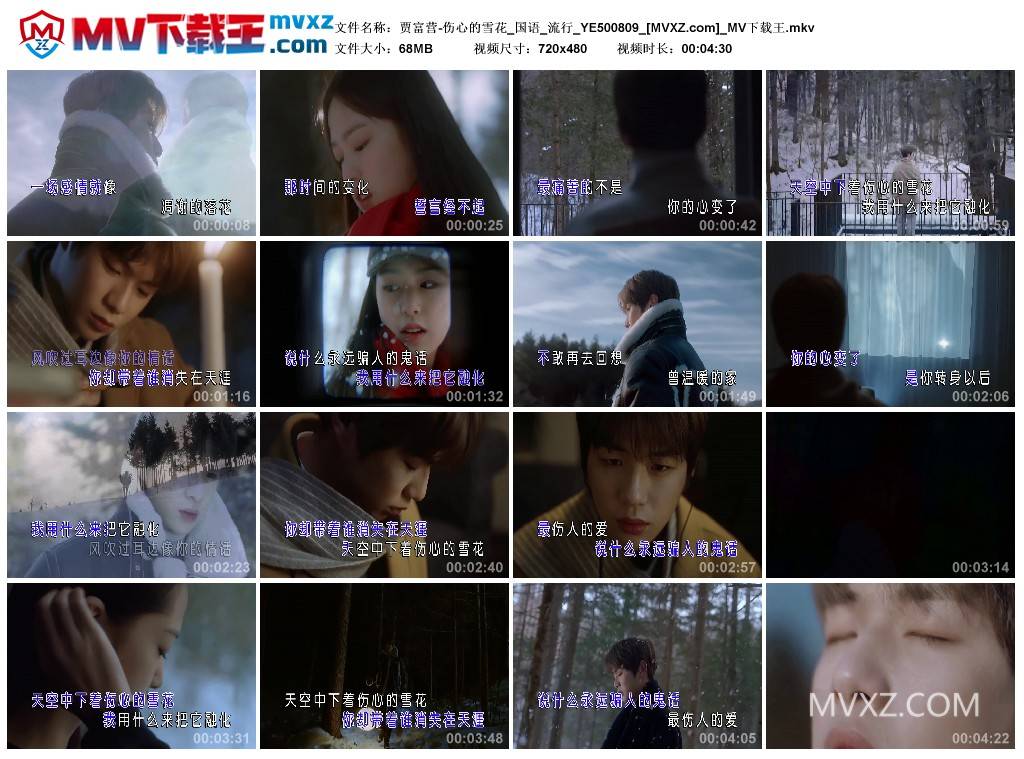 贾富营-伤心的雪花_国语_流行_YE500809